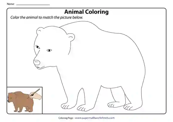 Animals & Birds Coloring & Tracing Worksheets | Free Printables