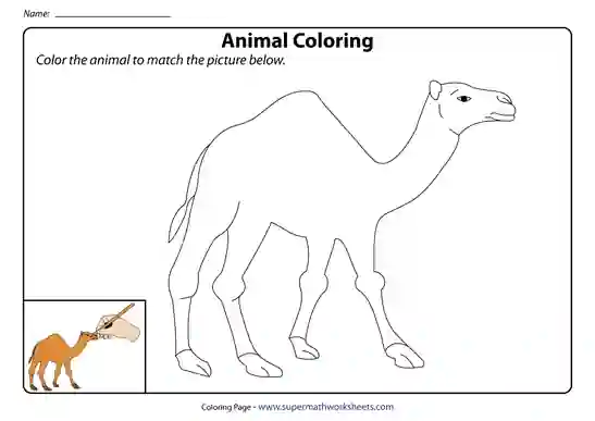 Animals & Birds Coloring & Tracing Worksheets | Free Printables